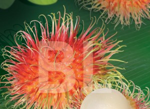 Rambutan