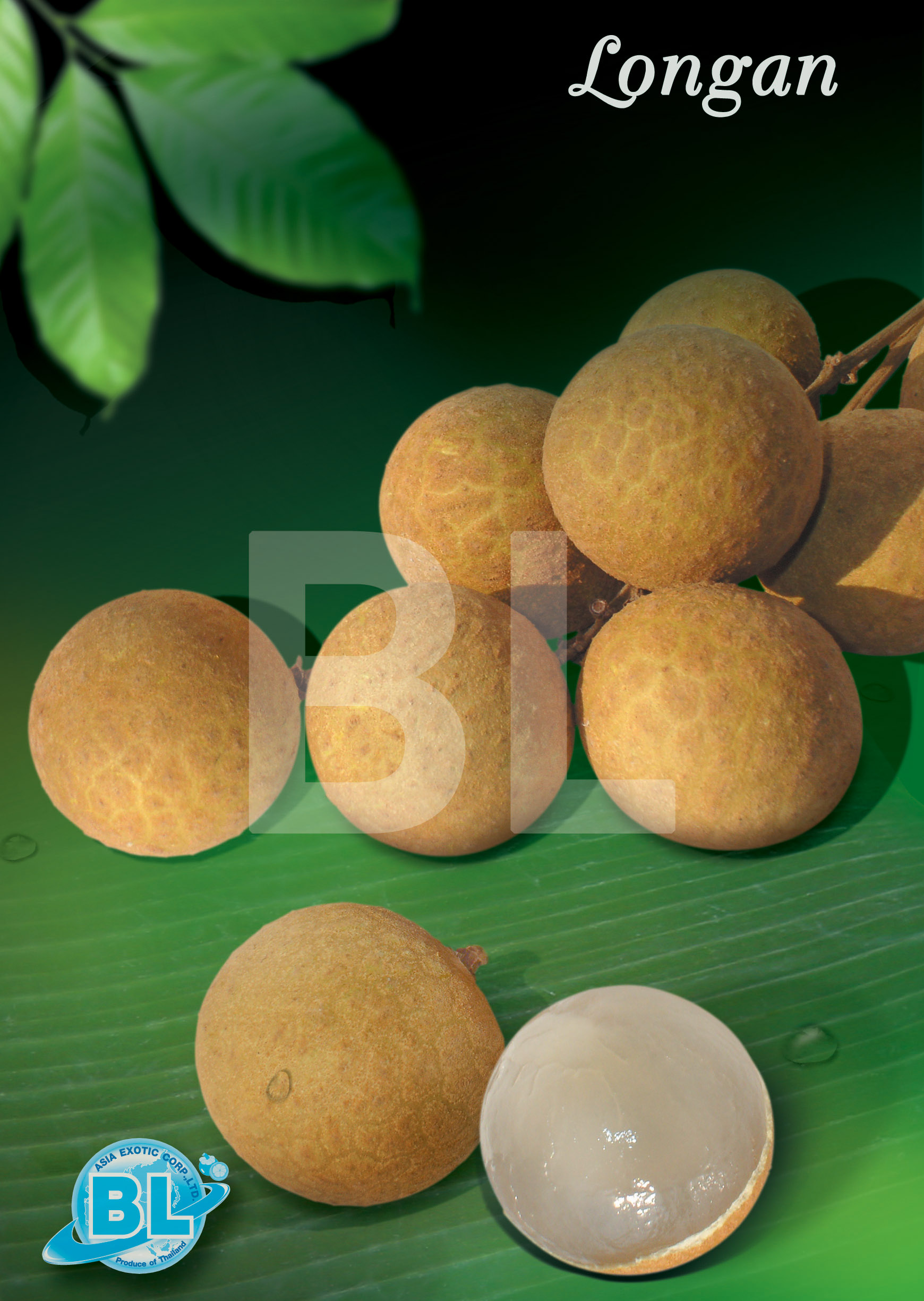 Longan