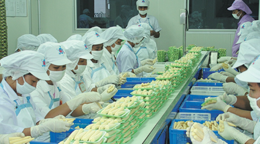 Asia Exotic Processing Line