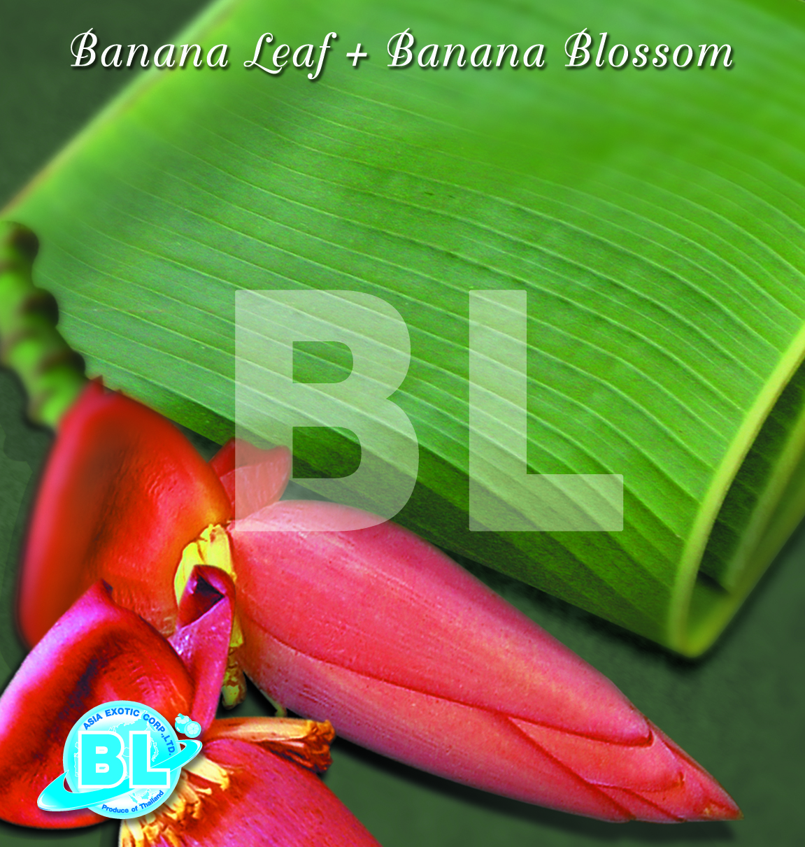 Banana Leaf + Banana Blossom