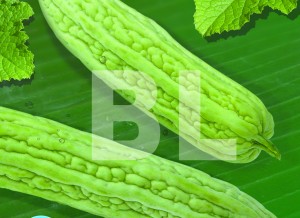 Bitter Melon