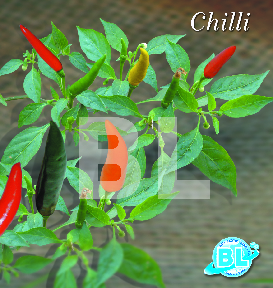 Chilli