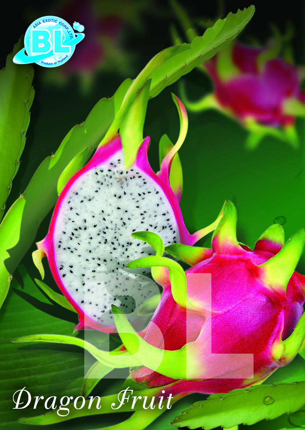 Dragon Fruit