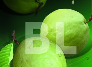 Guava