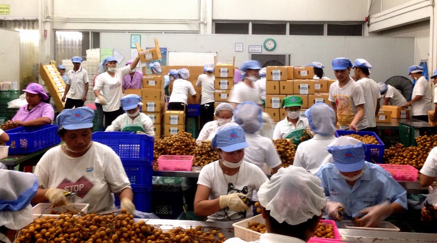 Packaging Line