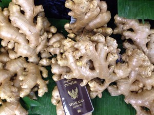 Ginger gallery