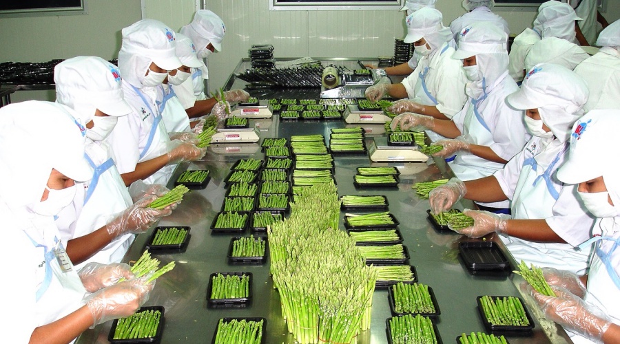 Fresh Produce Cold Storage